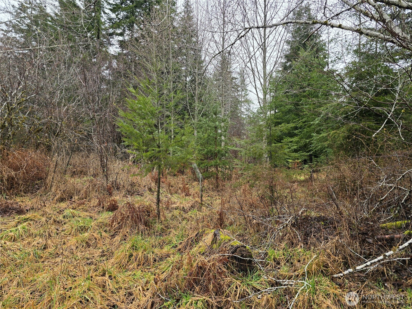 261 W Elk Hill Road Property Photo 4