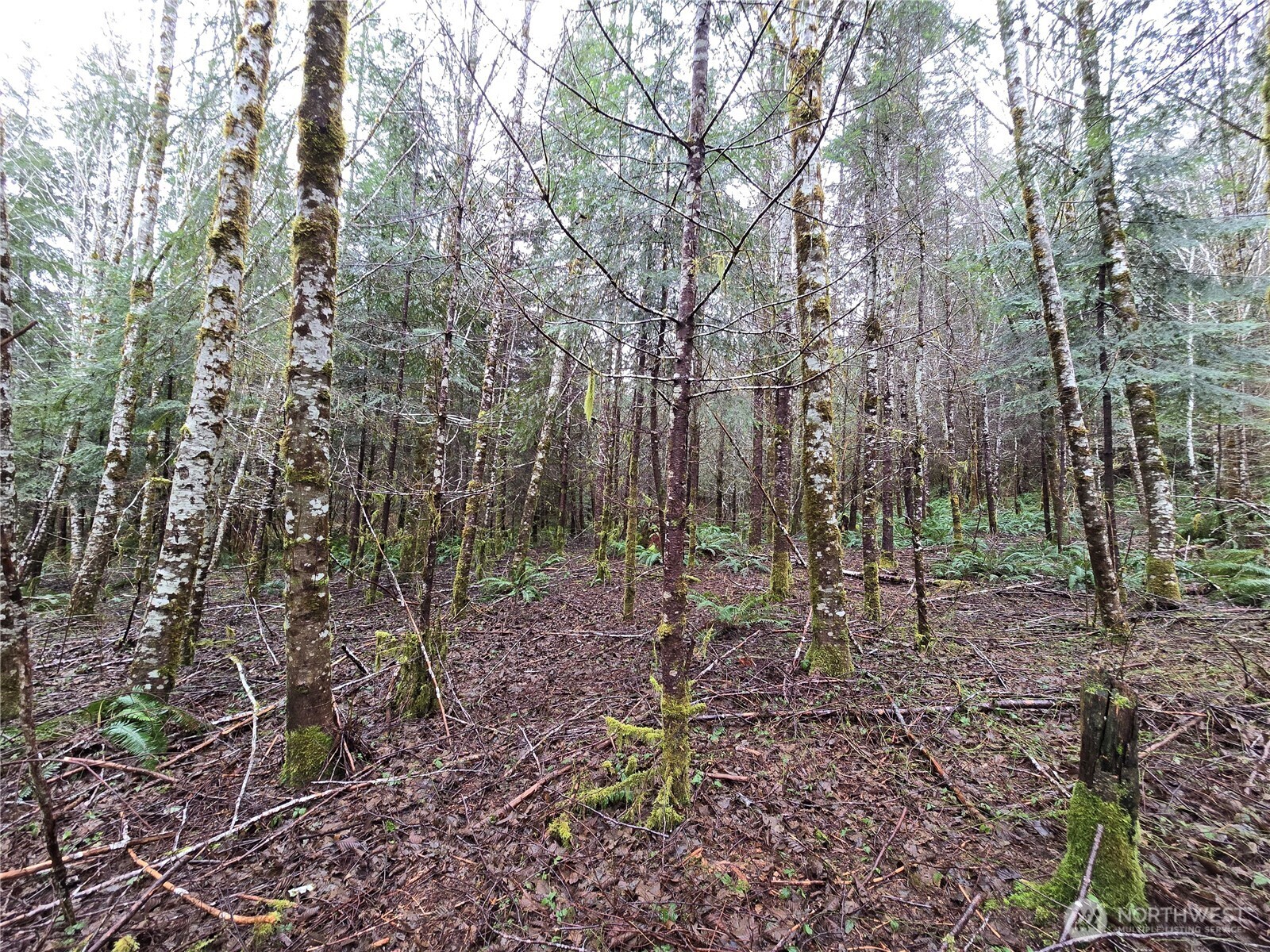0 Lot 4 W Elk Hill Road Property Photo 2