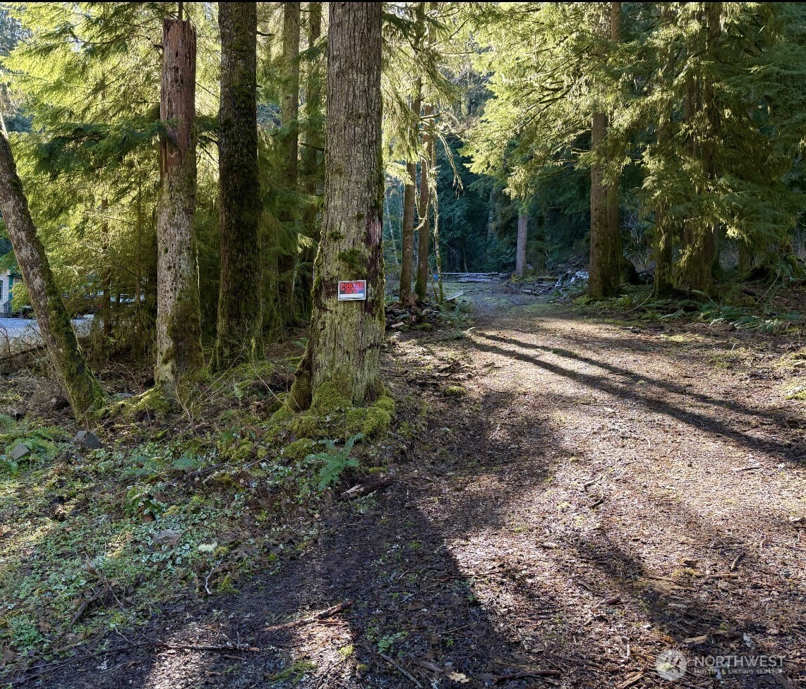 34750 S Shore Drive Property Photo 4