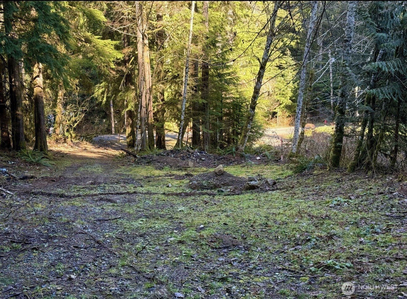34750 S Shore Drive Property Photo 8