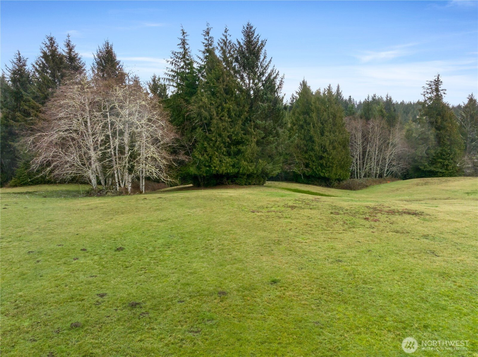 25 Lot Wilson Point Estates Property Photo 11