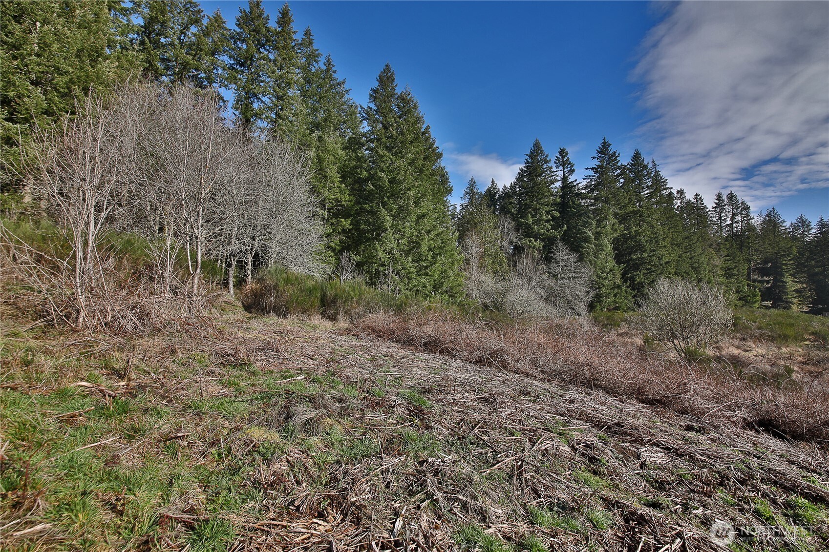 0 State Route 525 Property Photo 1