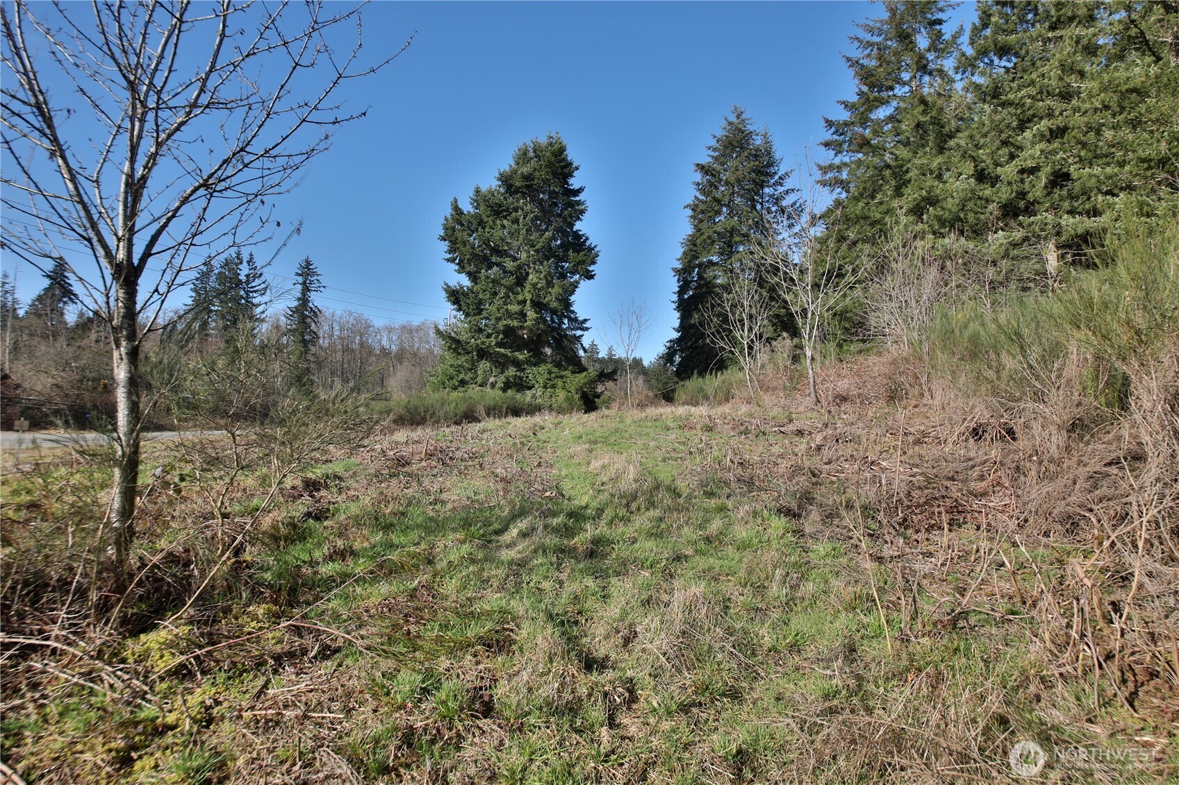 0 State Route 525 Property Photo 4