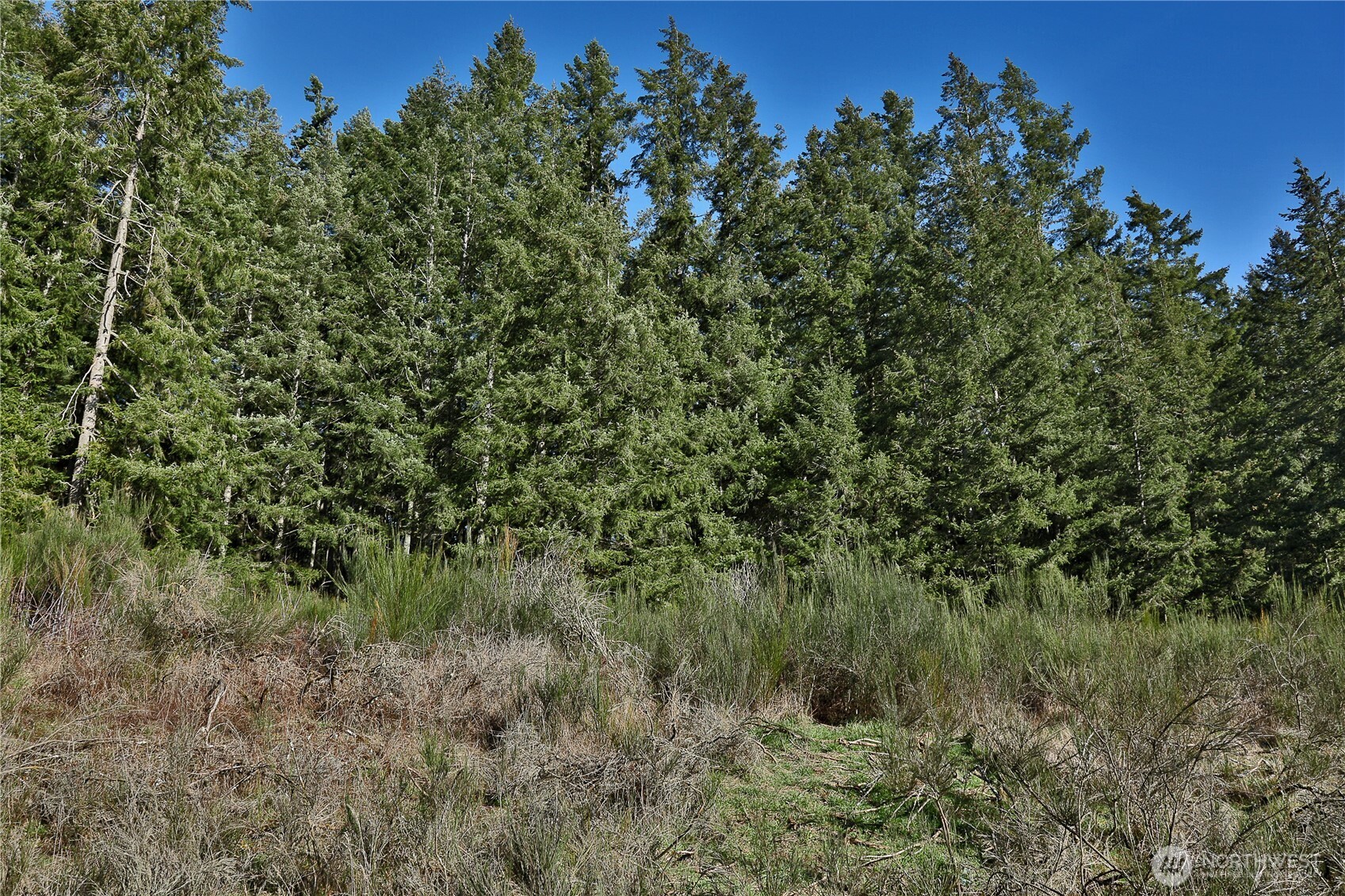 0 State Route 525 Property Photo 6