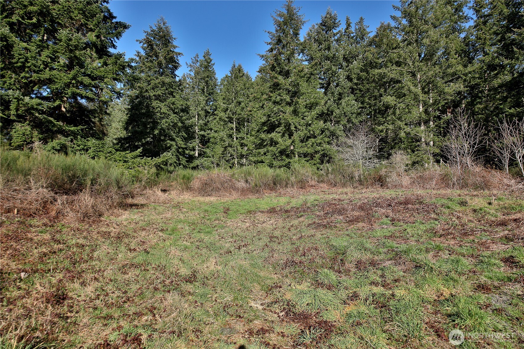 0 State Route 525 Property Photo 8