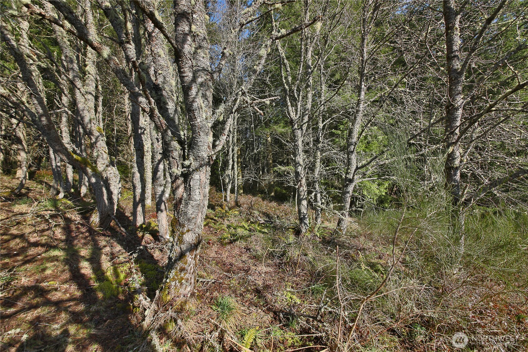 0 State Route 525 Property Photo 12