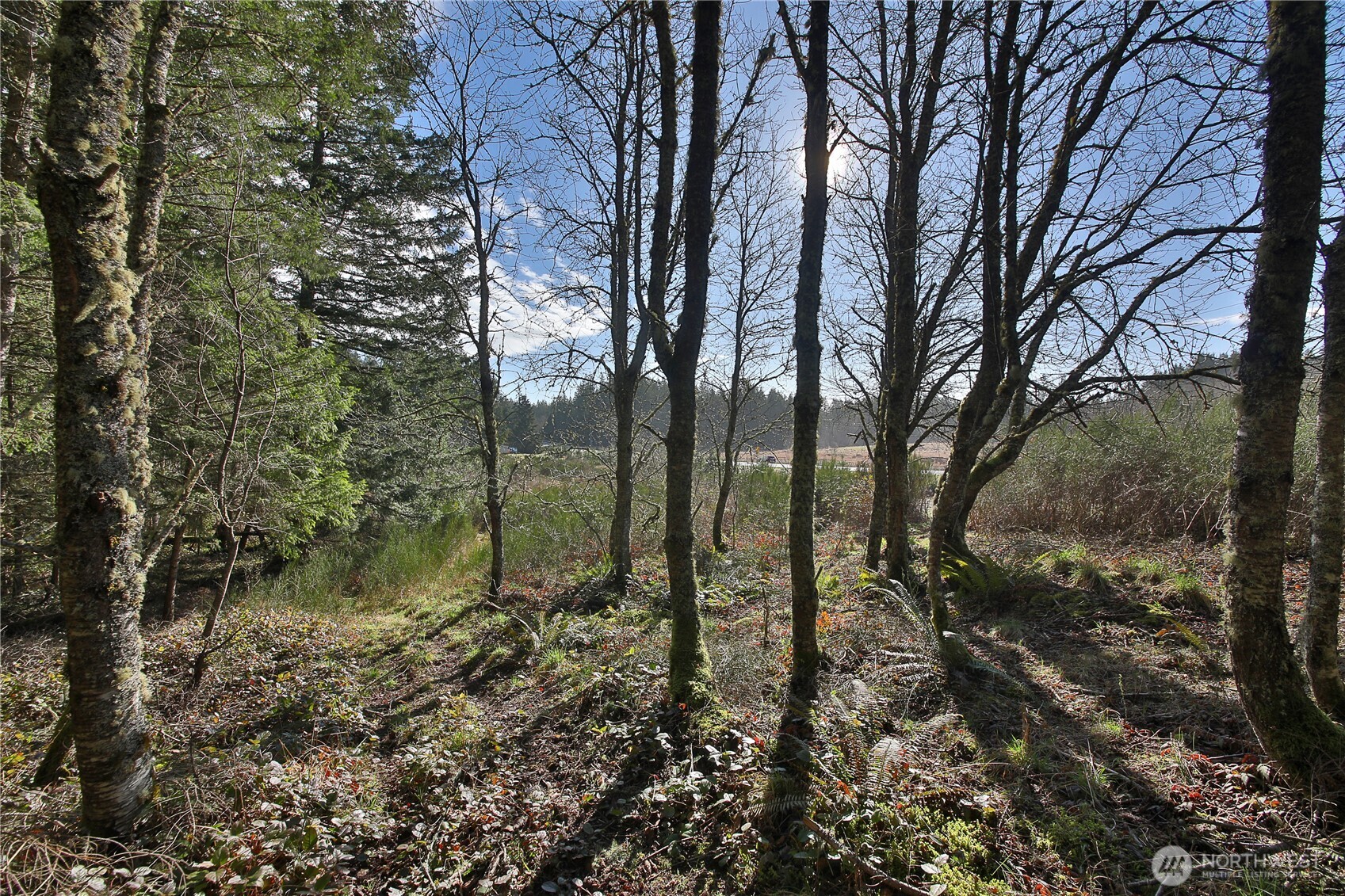 0 State Route 525 Property Photo 13