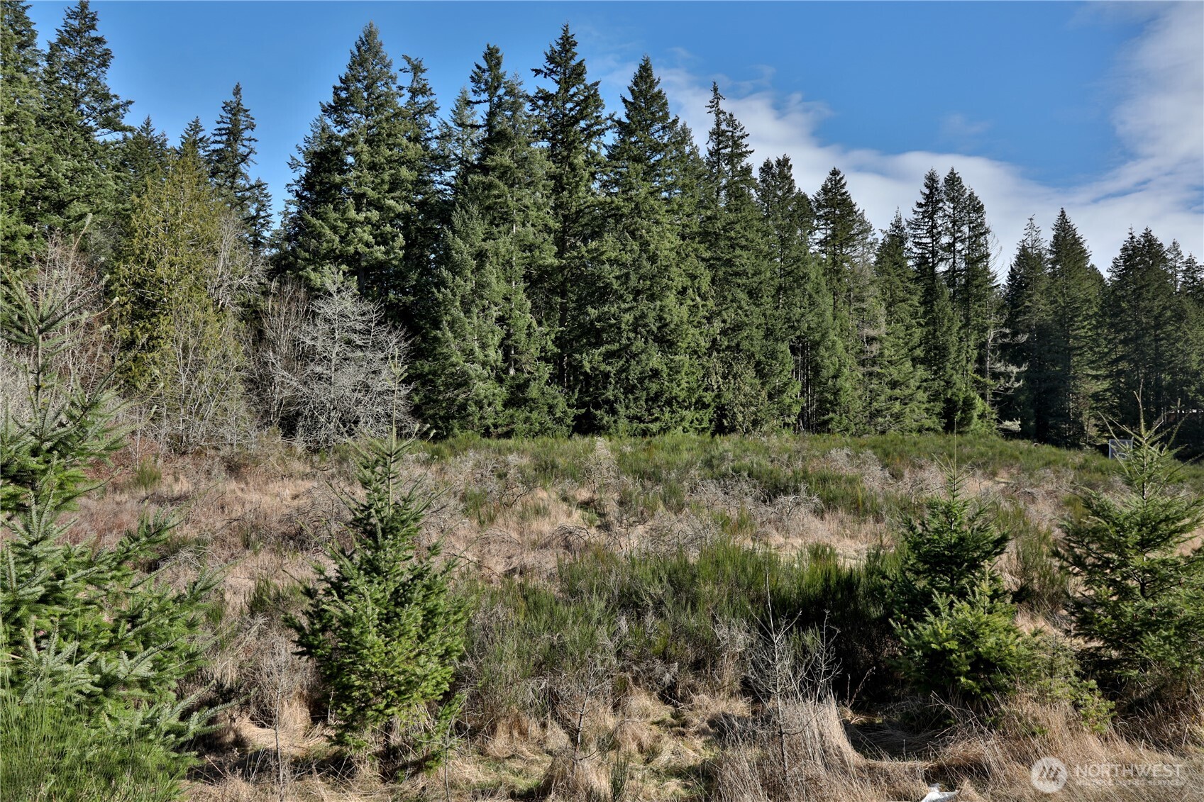 0 State Route 525 Property Photo 16
