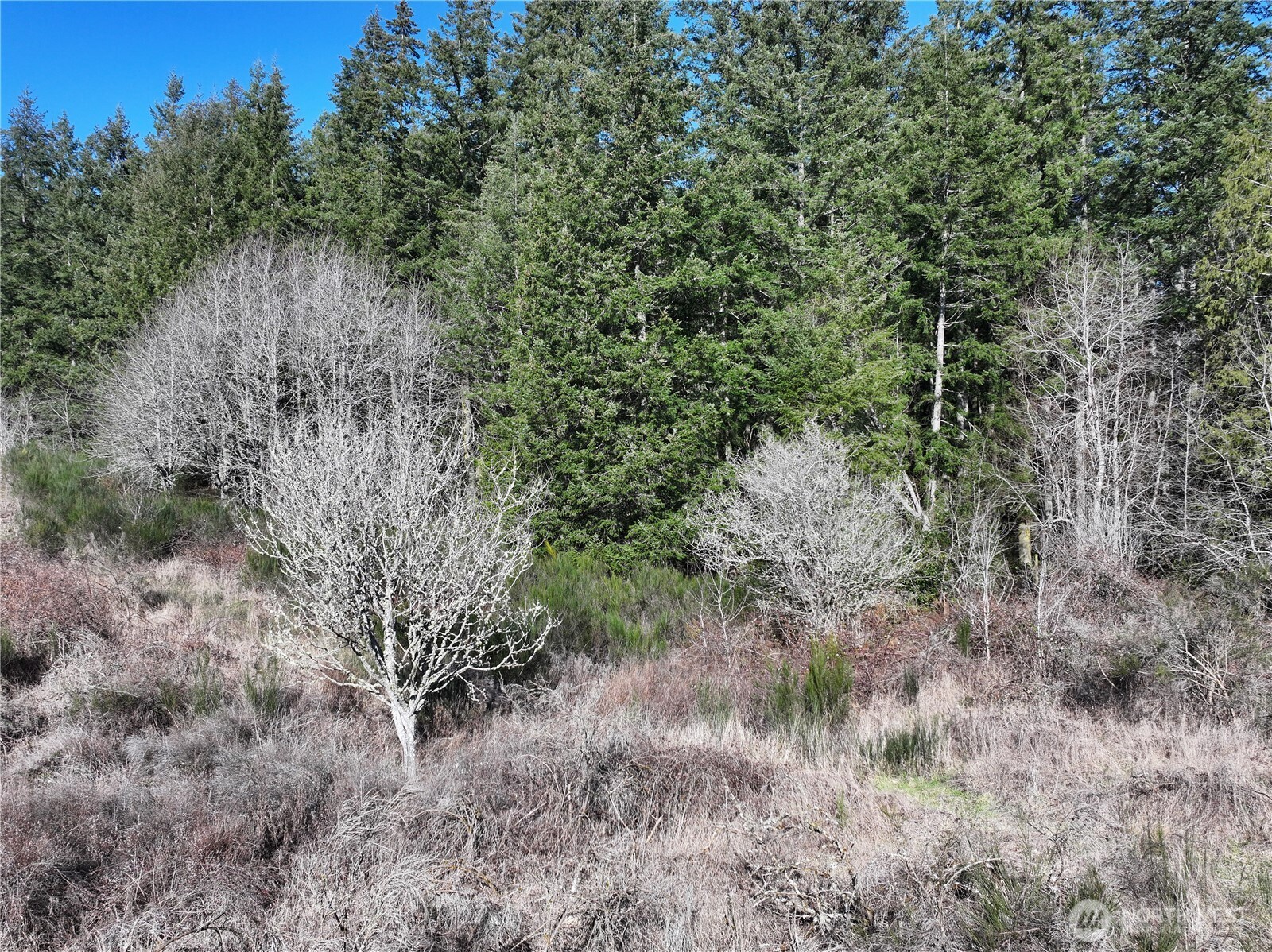 0 State Route 525 Property Photo 22