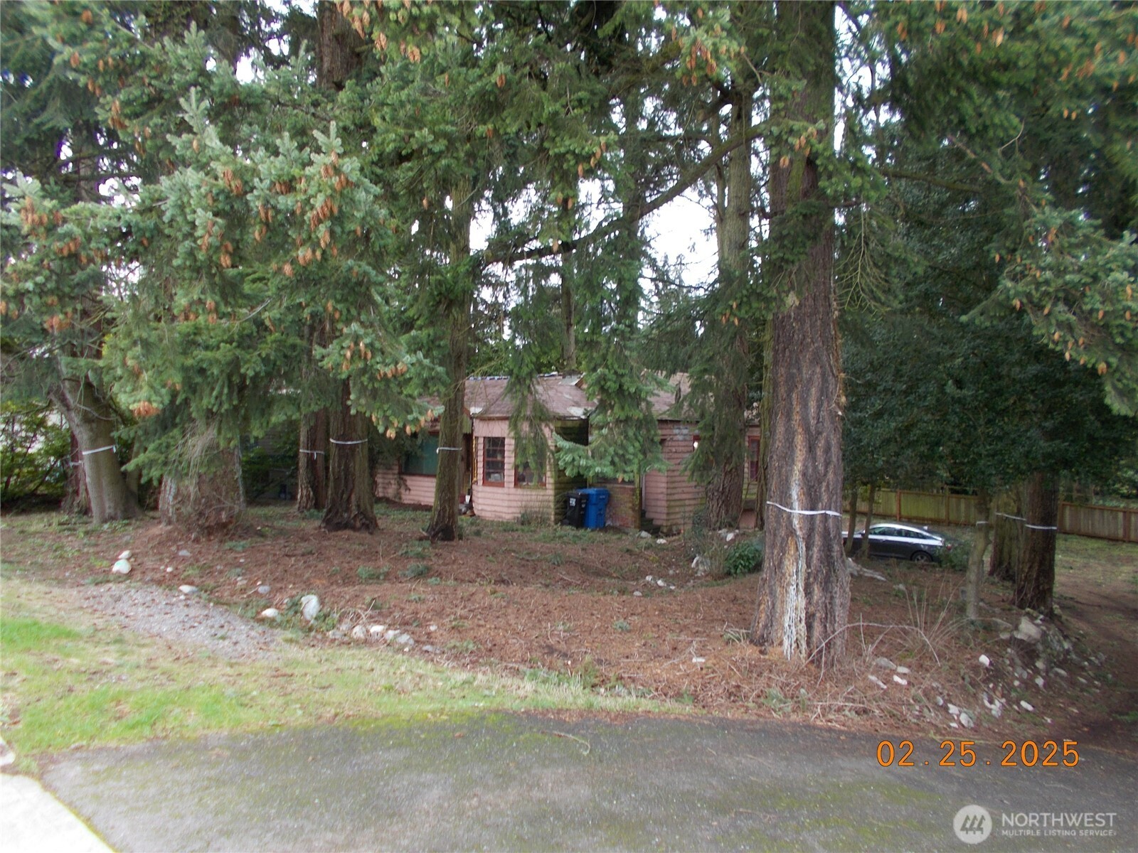604 N 143rd Street Property Photo 2