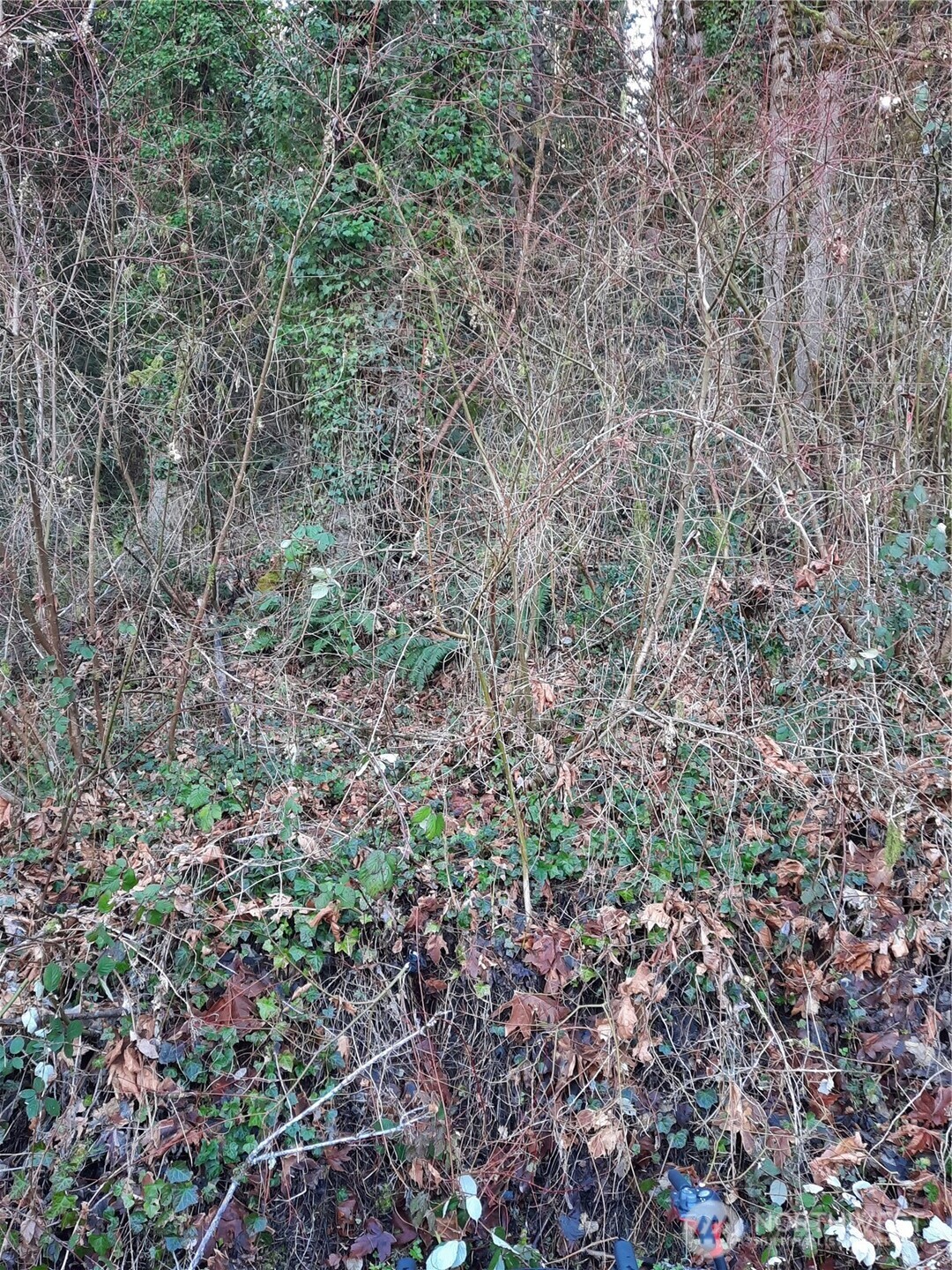 0 Eriksen Place Property Photo