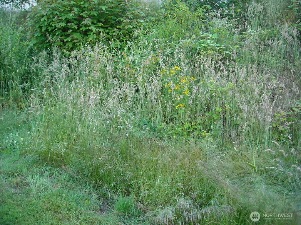 613 E 56th Street Property Photo 1