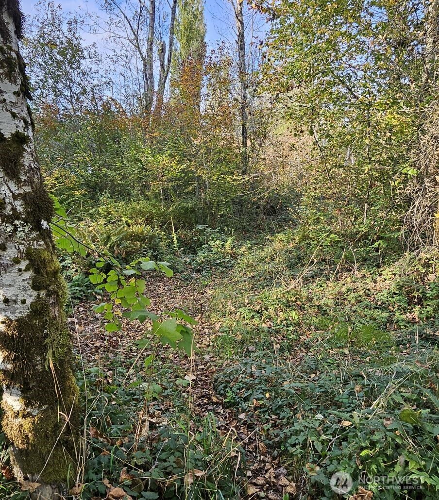 32012 Retreat-kanaskat Road Property Photo 4
