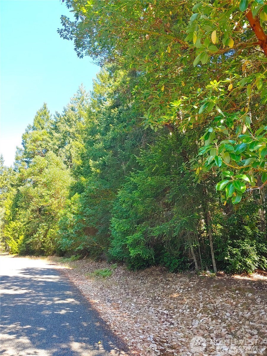 12611 Silver Drive Property Photo