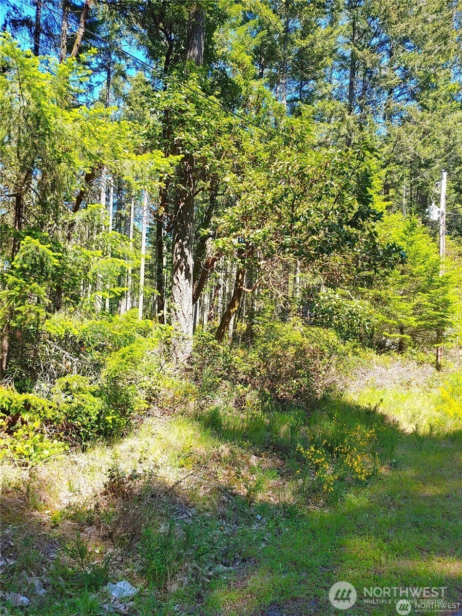 12121 Sunset Place Property Photo