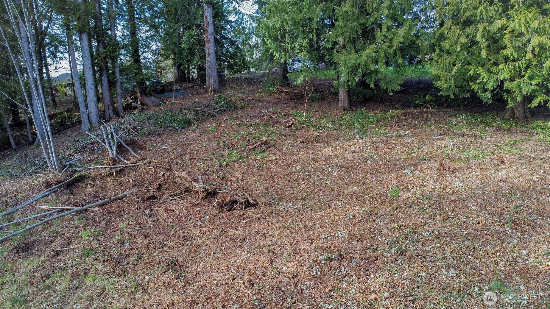 1 Mason Street Property Photo 6
