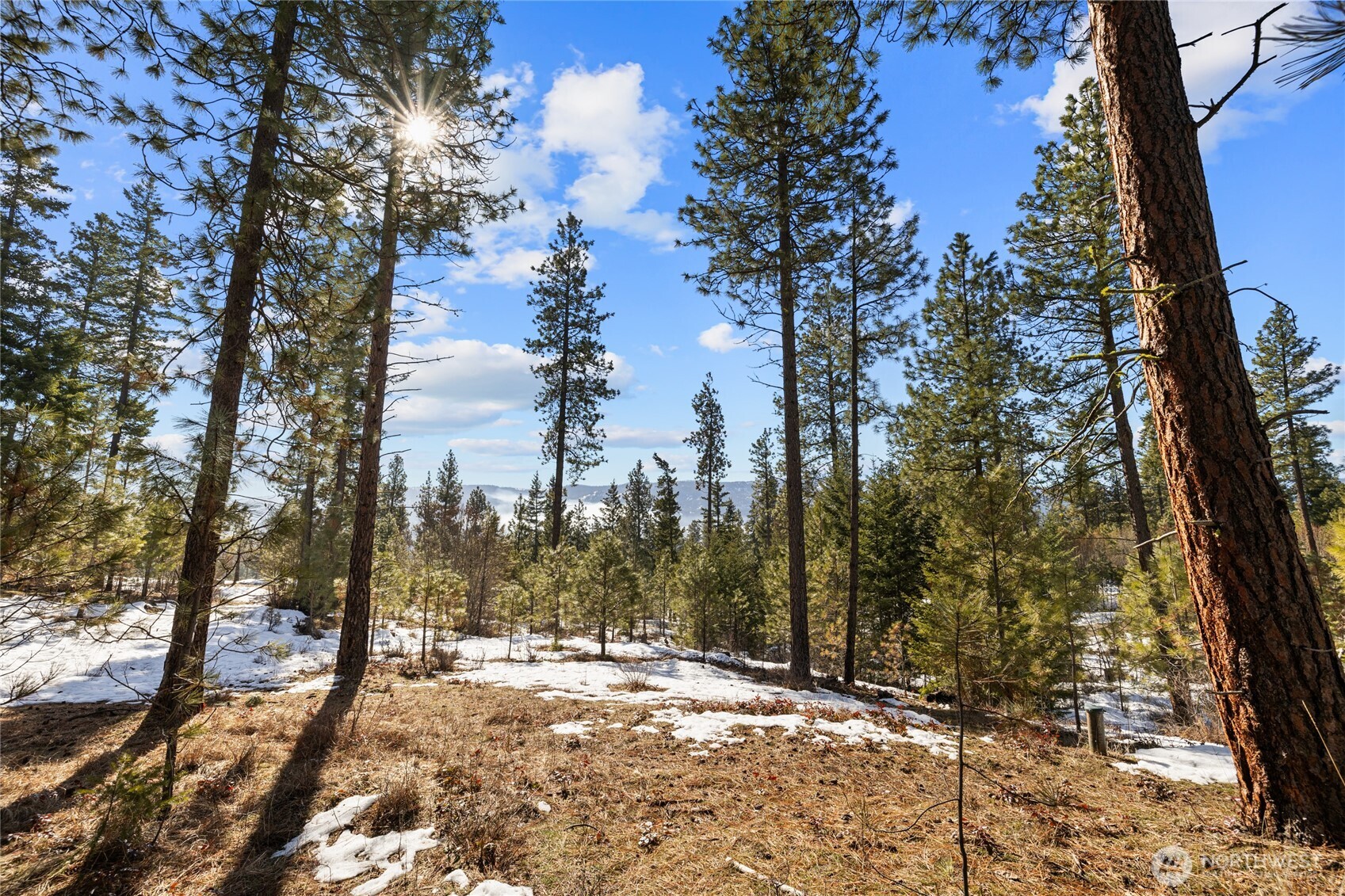 2 Lot Game Trail Road Property Photo 5