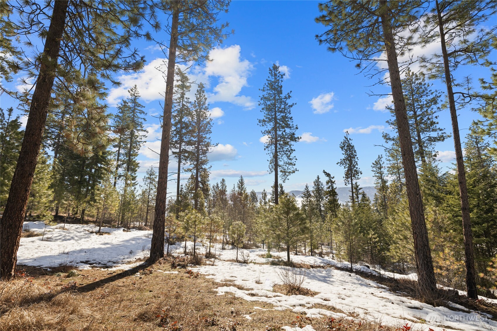 2 Lot Game Trail Road Property Photo 6