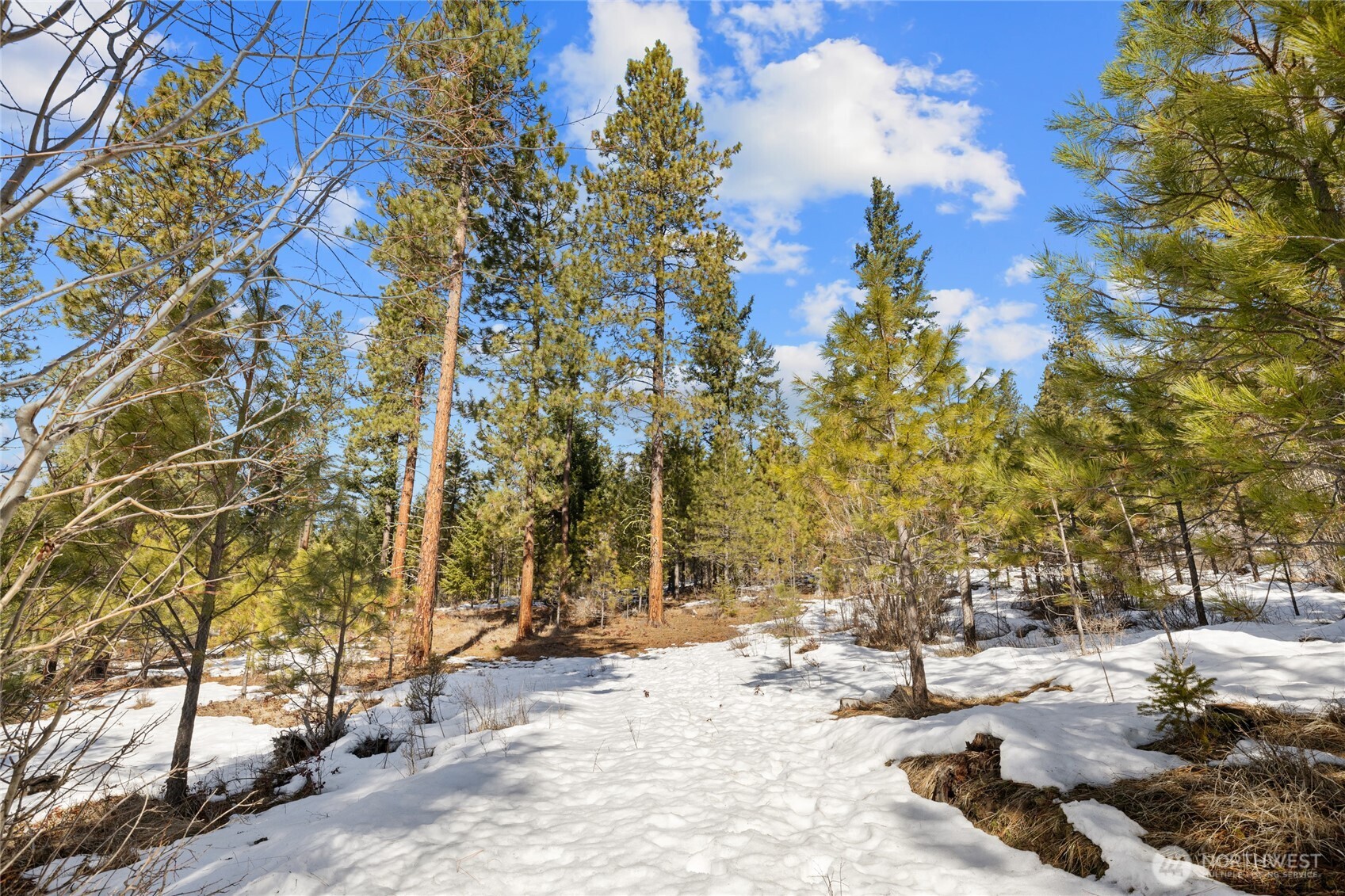 2 Lot Game Trail Road Property Photo 9