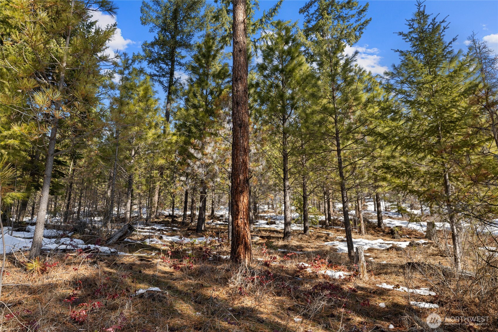 2 Lot Game Trail Road Property Photo 10