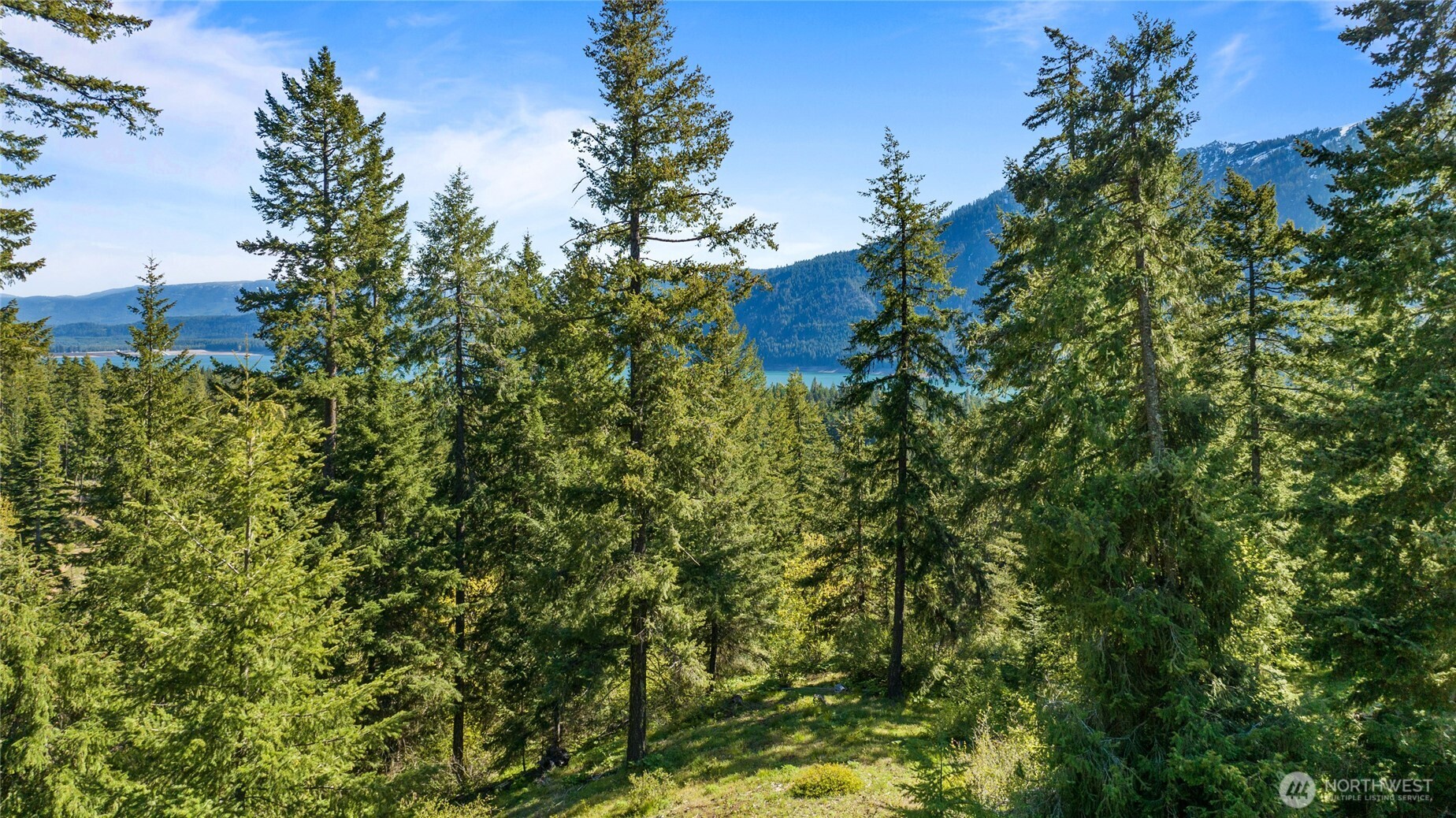 40 Newport Creek Loop Property Photo 15