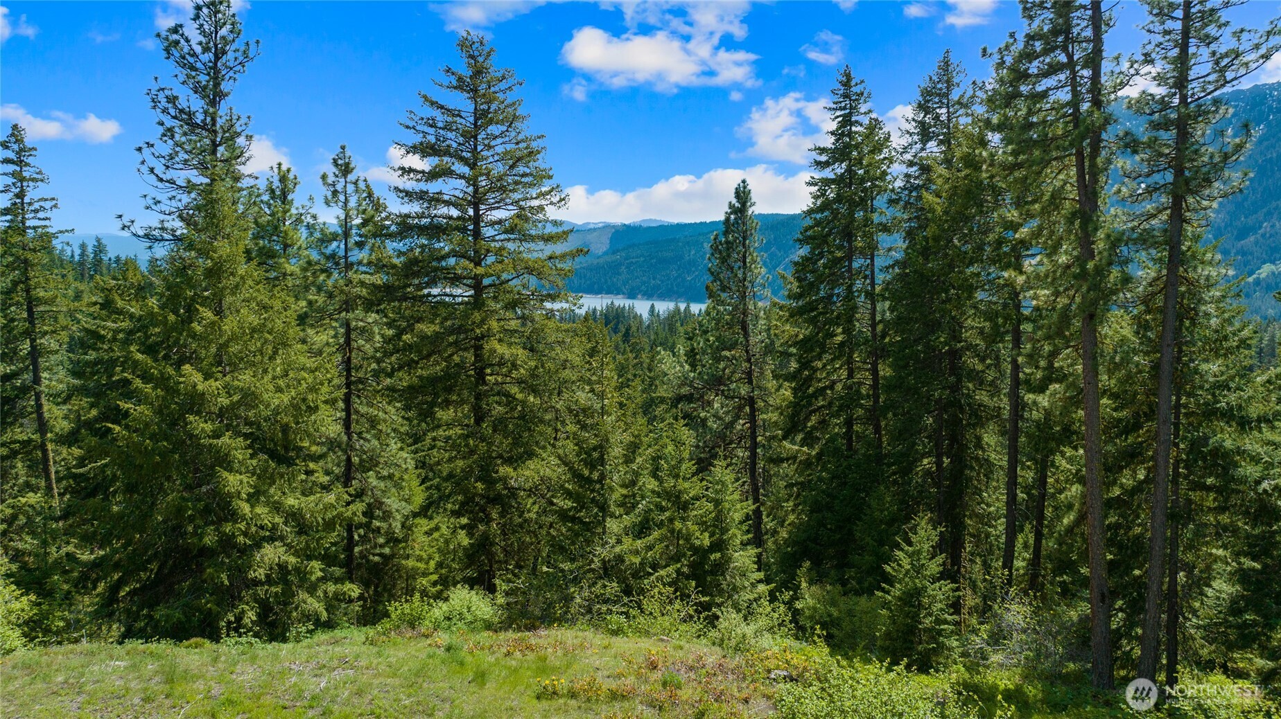 11 Salmon La Sac Highway Property Photo 10