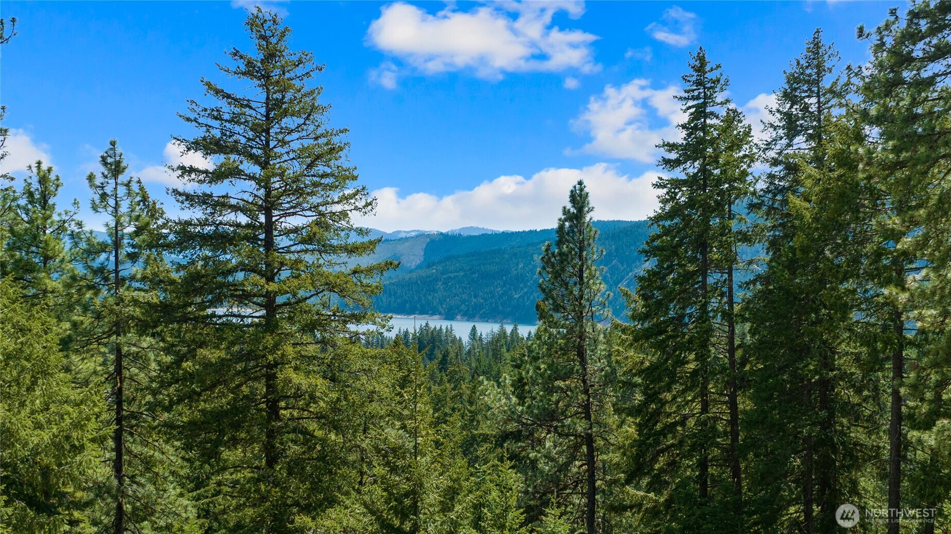 11 Salmon La Sac Highway Property Photo 11