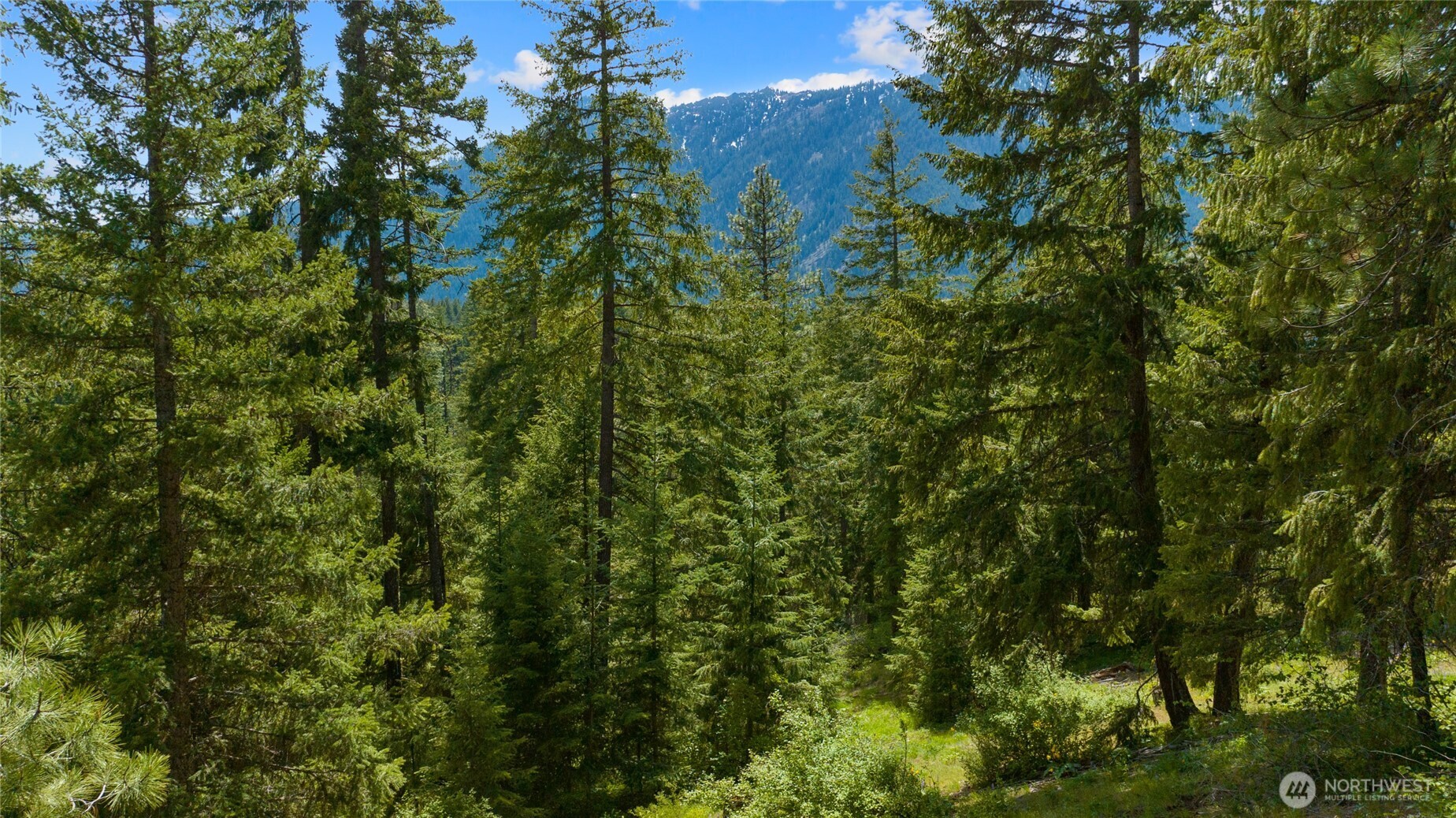 11 Salmon La Sac Highway Property Photo 13