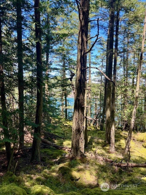 0 Lot 26 Peavine Way Property Photo 3
