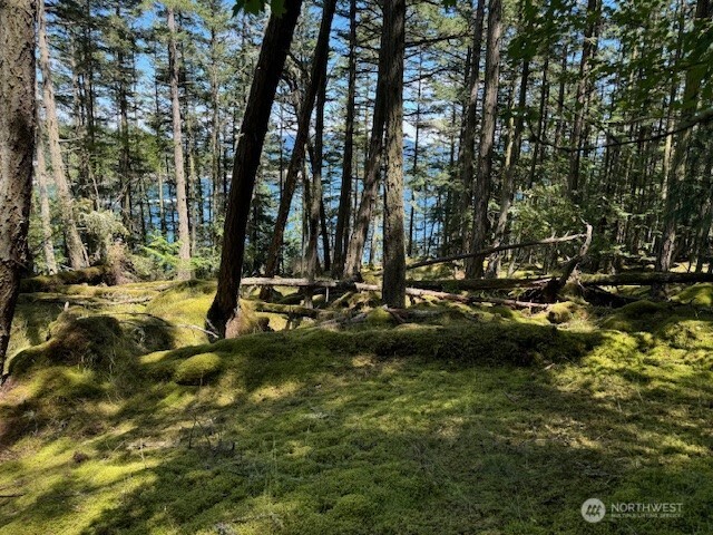 0 Lot 27 Peavine Way Property Photo 4