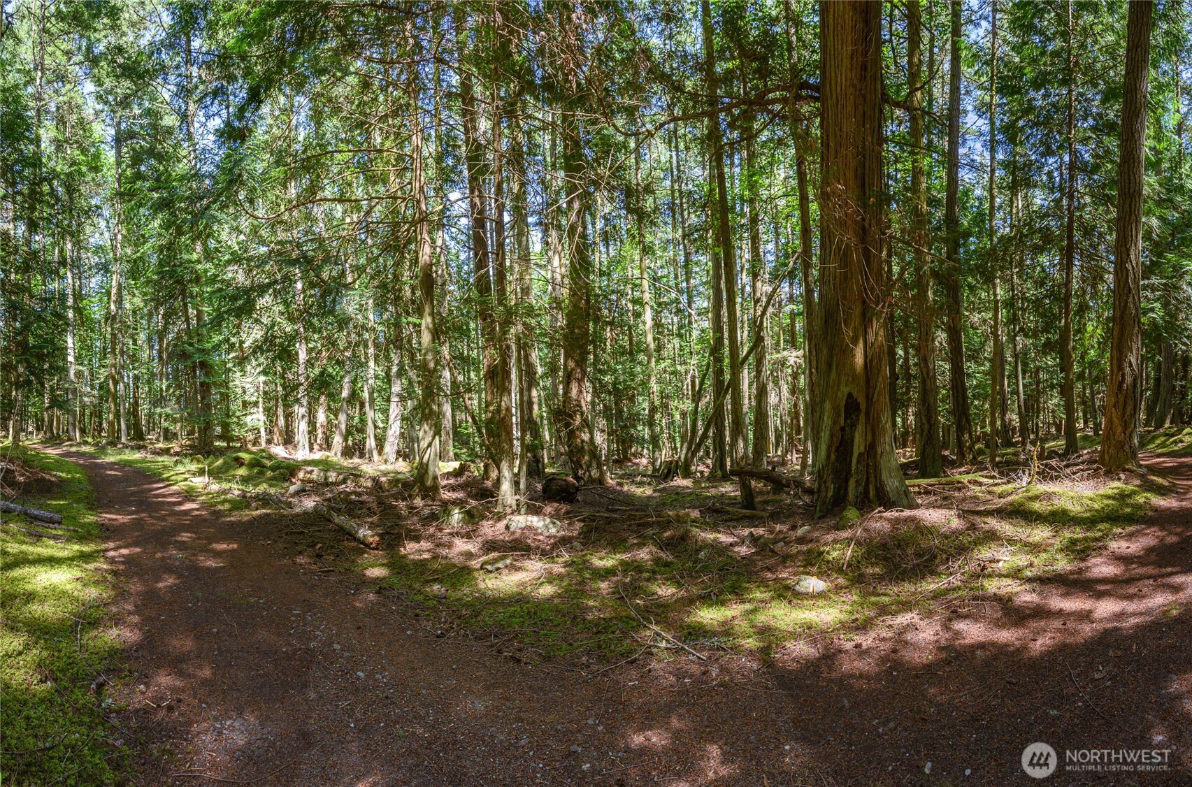 0 Lot 27 Peavine Way Property Photo 6