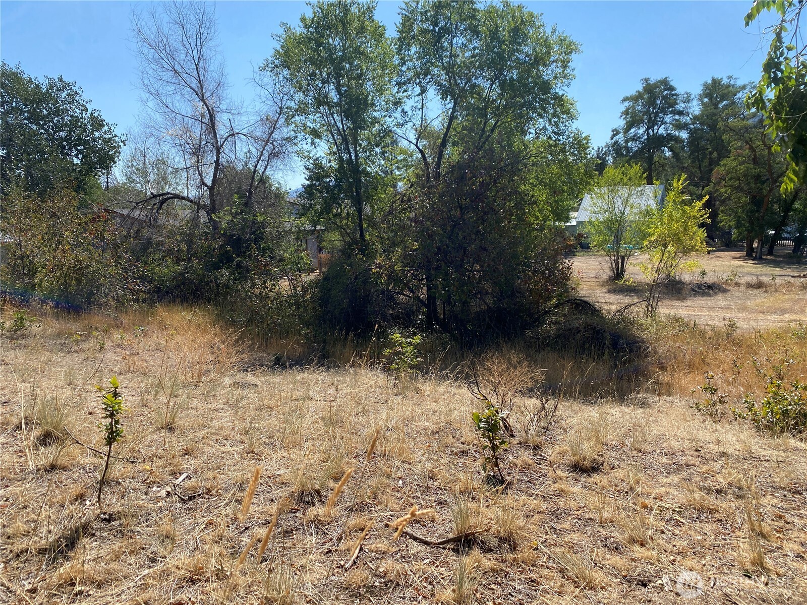 1226 Riverside (new Parcel B) Avenue Property Photo 19
