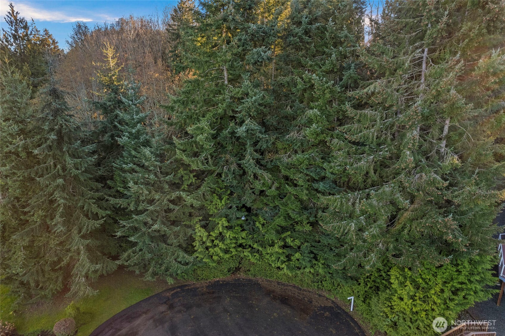 4224 Mitchell Drive Property Photo 2