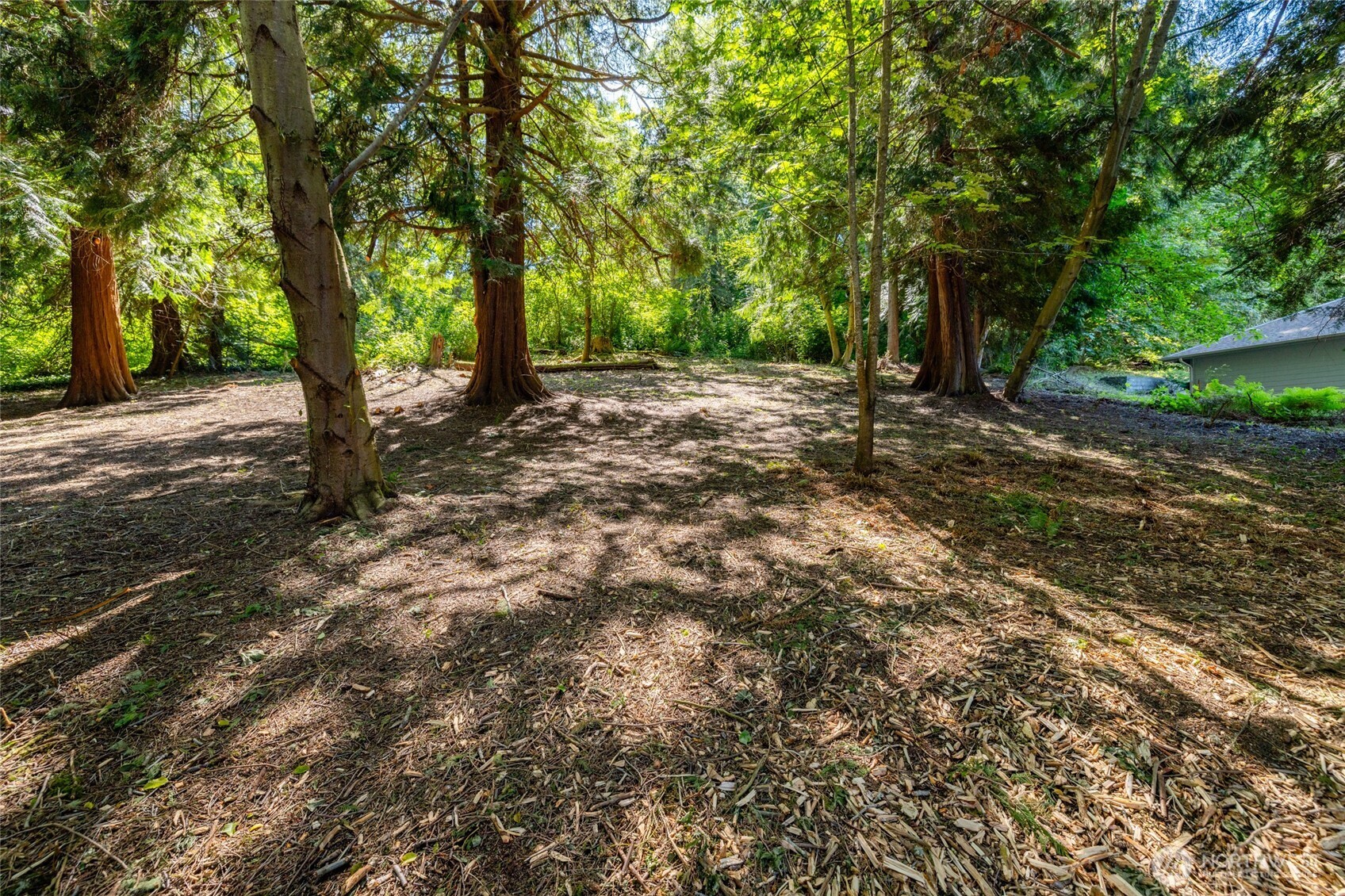 4224 Mitchell Drive Property Photo 8
