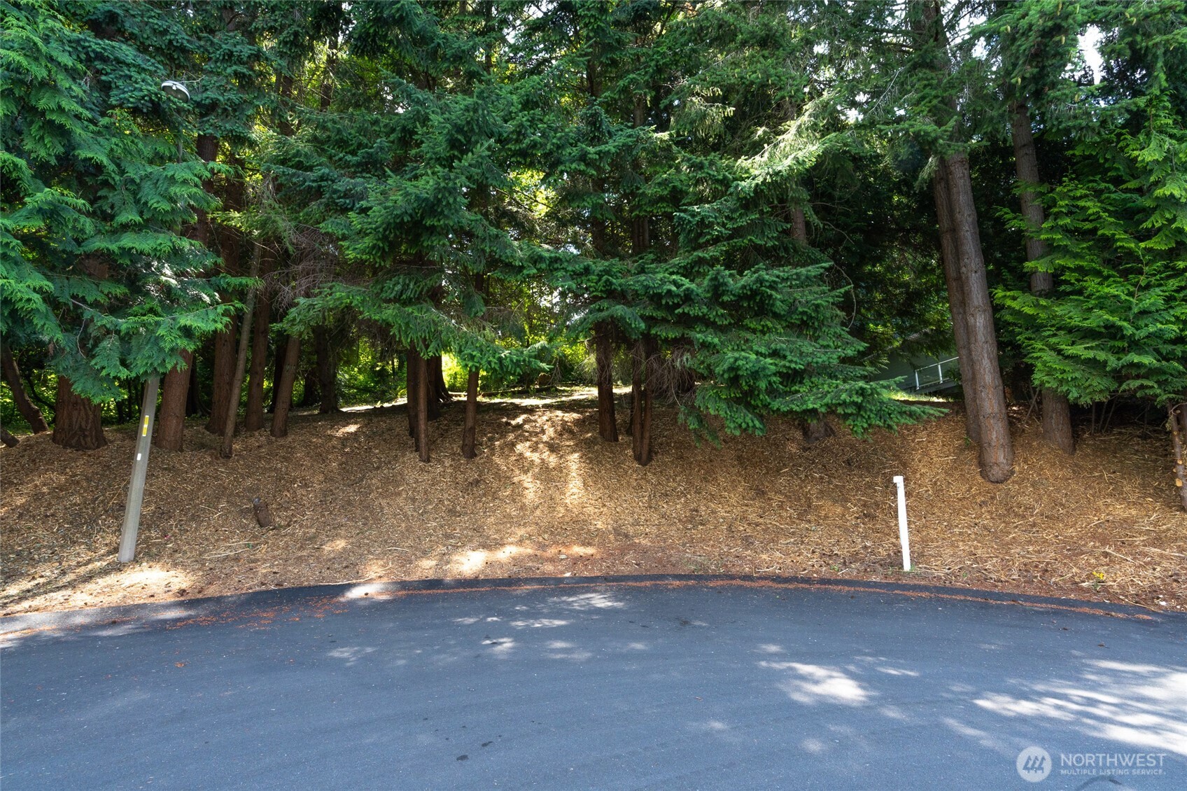4224 Mitchell Drive Property Photo 11