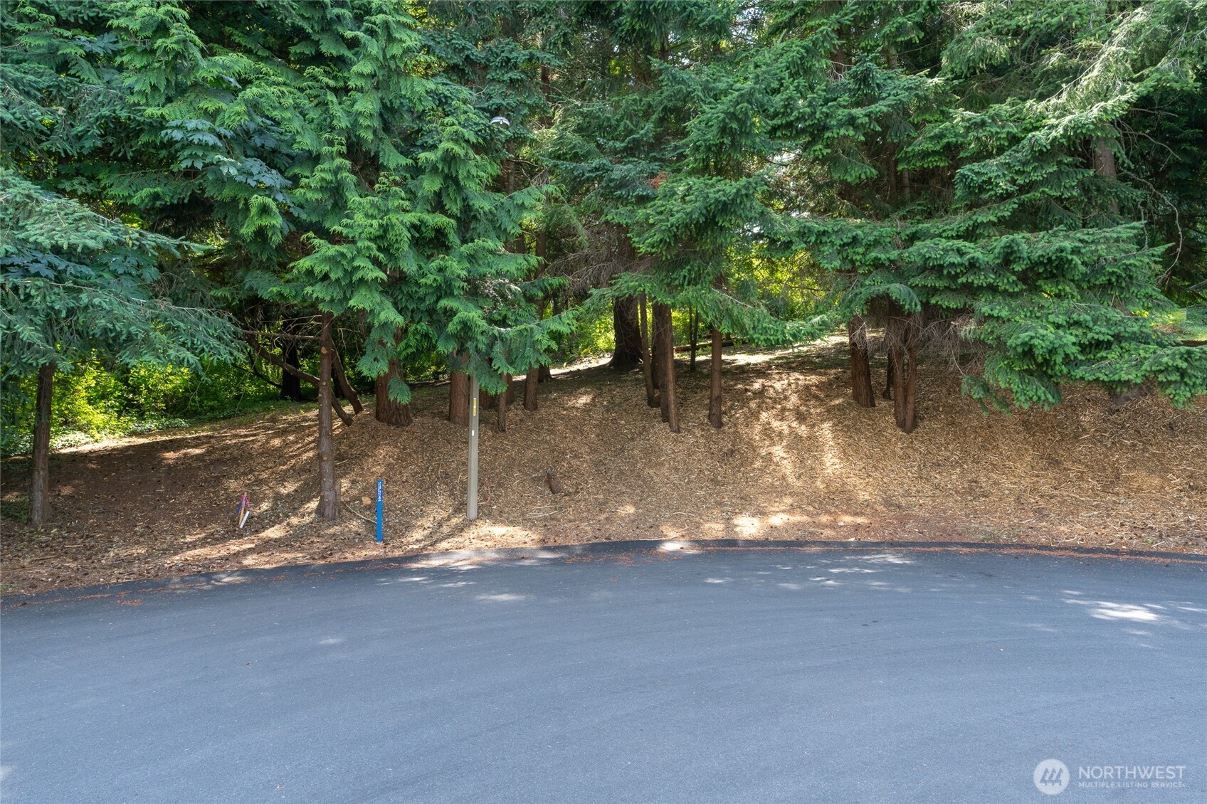4224 Mitchell Drive Property Photo 13
