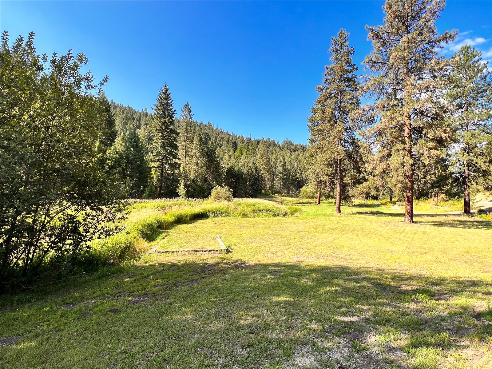 17320 N Highway 21 Property Photo 30