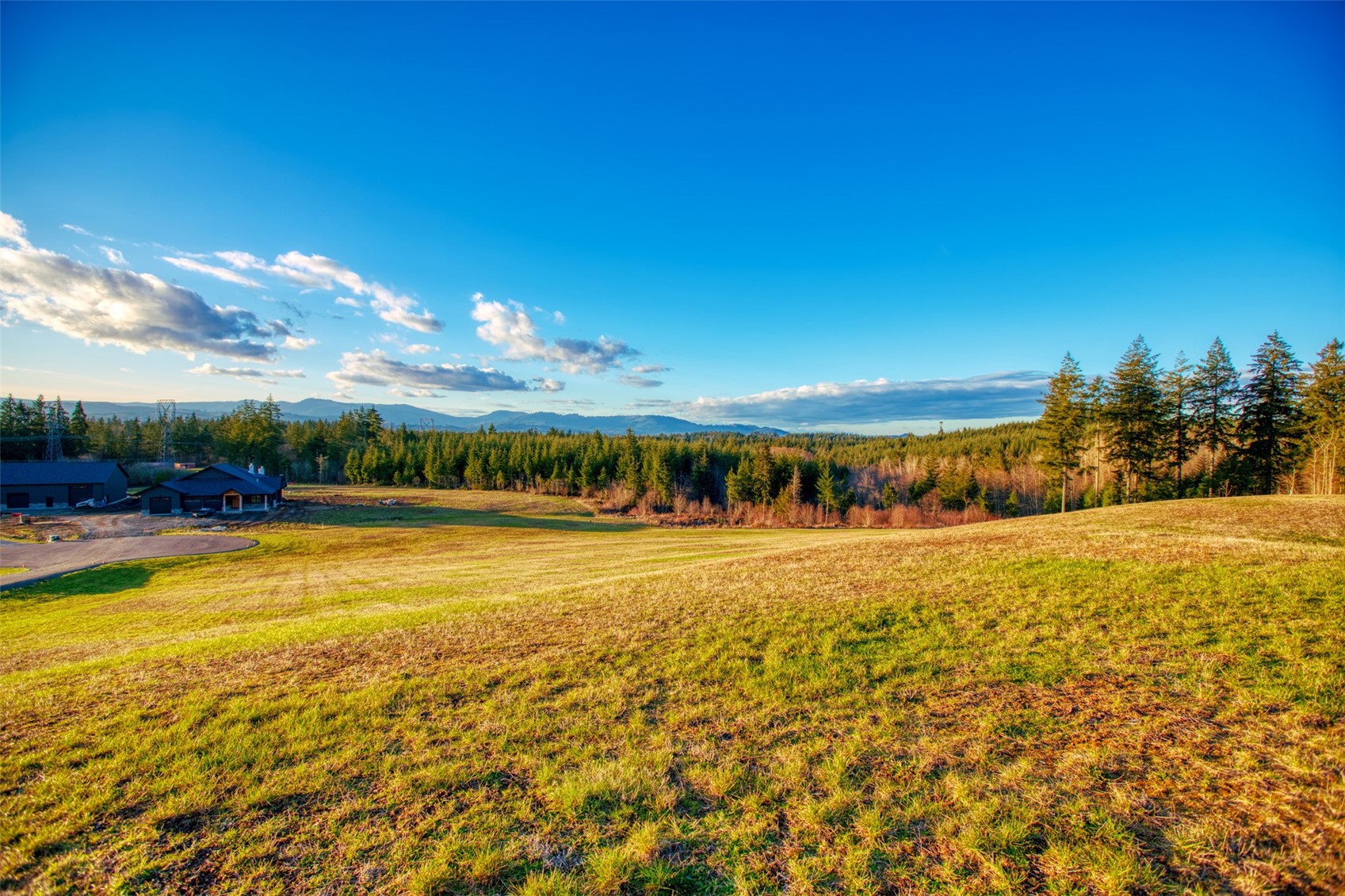 14010 Quiet Waters Lane Property Photo 9