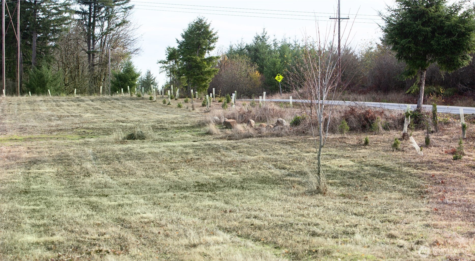14010 Quiet Waters Lane Property Photo 10