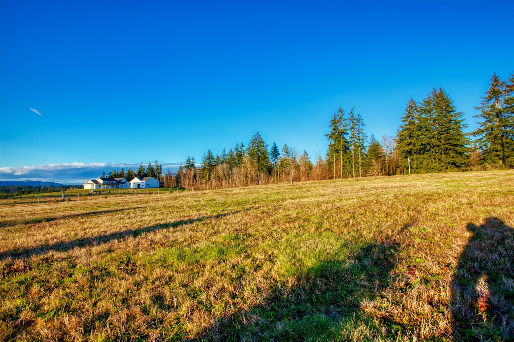 14010 Quiet Waters Lane Property Photo 11