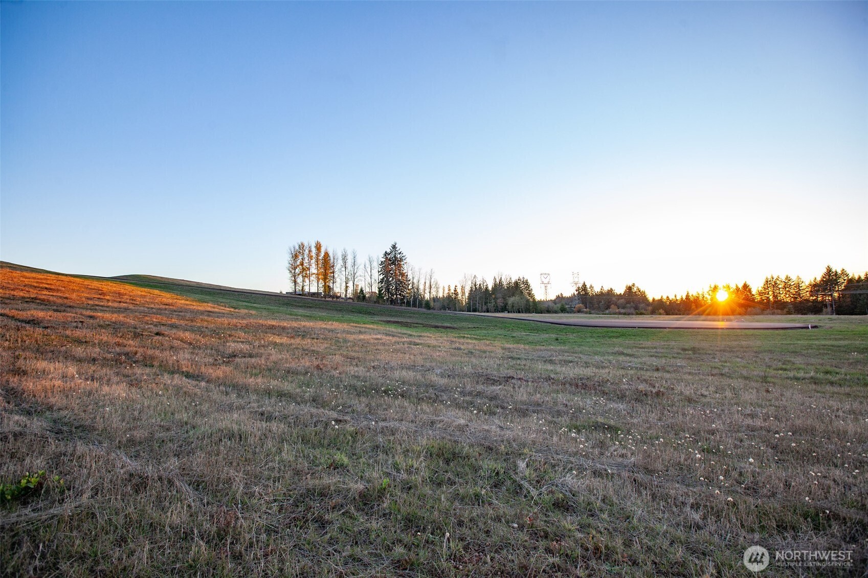 14010 Quiet Waters Lane Property Photo 17