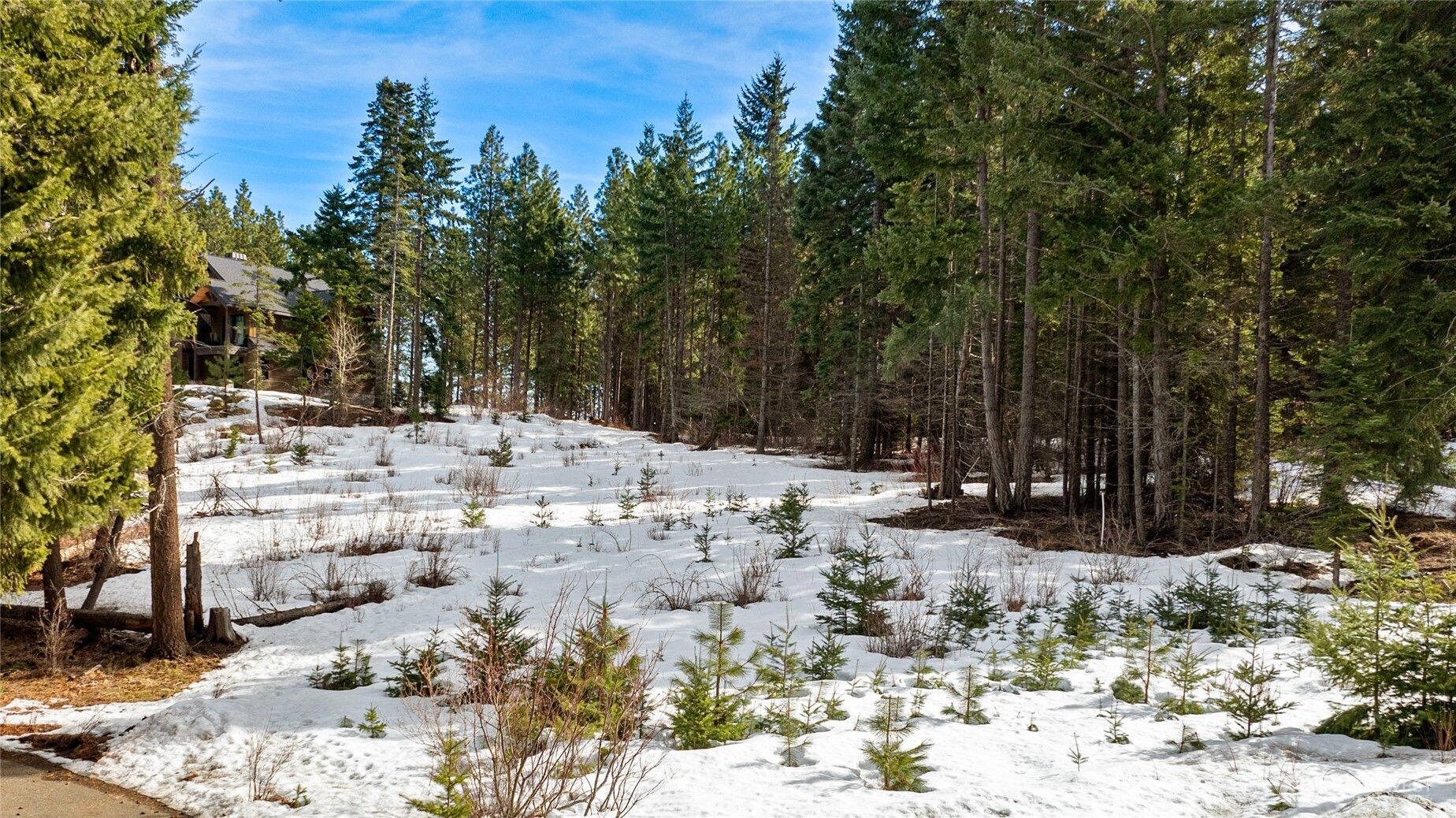 681 Iron Monarch Loop Property Photo 16