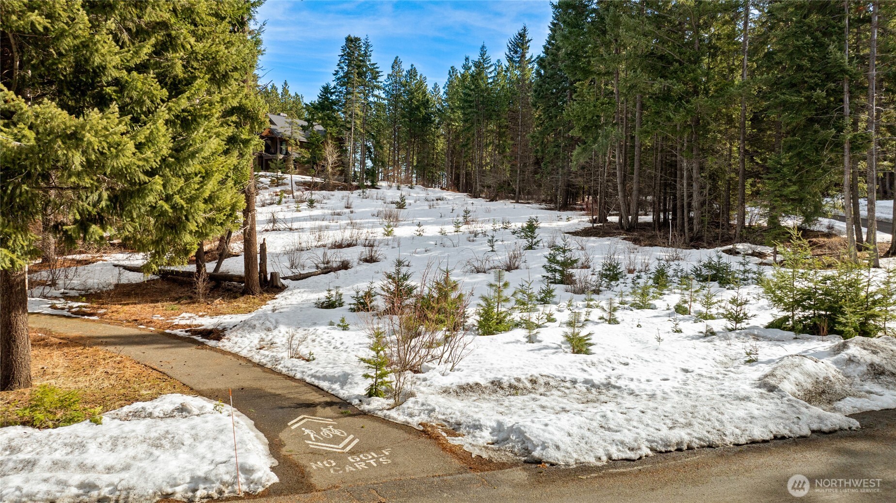 681 Iron Monarch Loop Property Photo 17