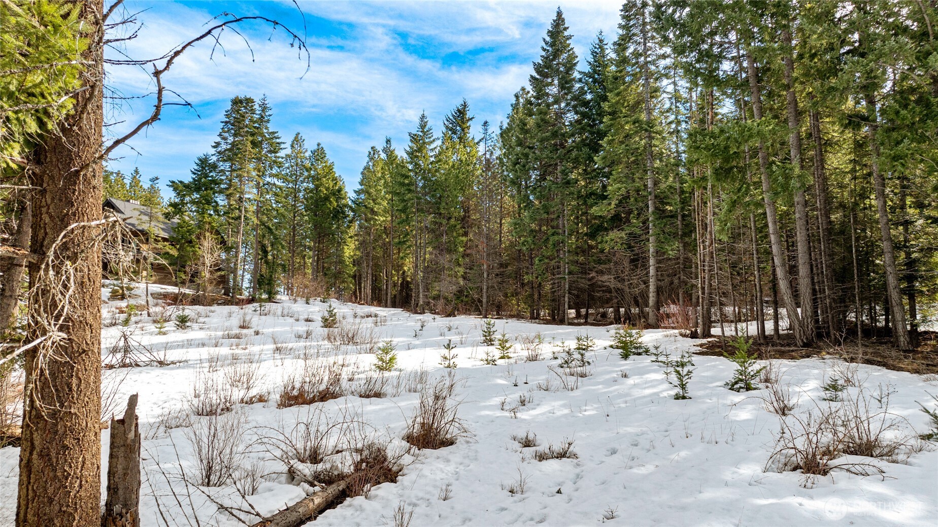 681 Iron Monarch Loop Property Photo 18