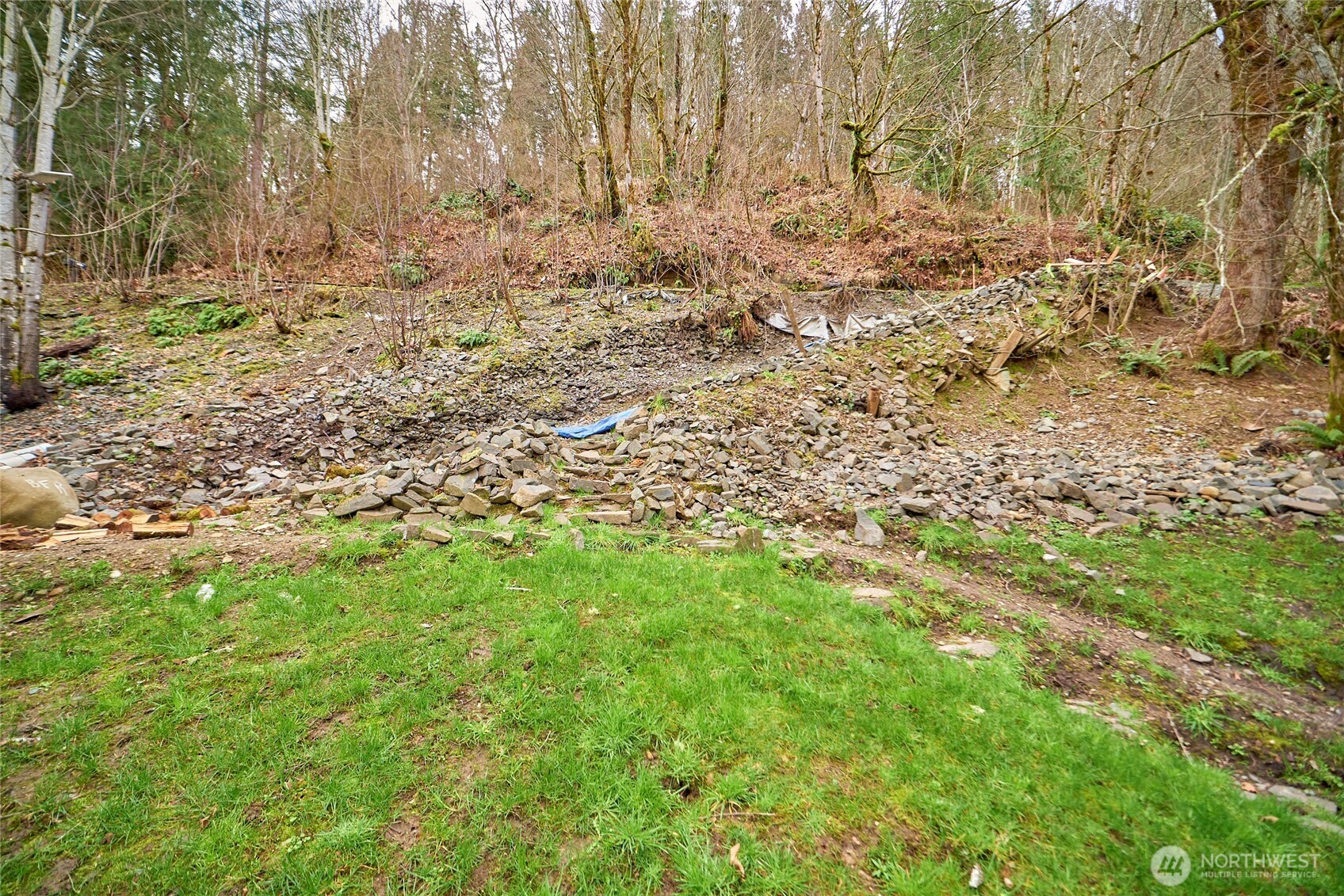 38820 Ski Park Road Property Photo 7