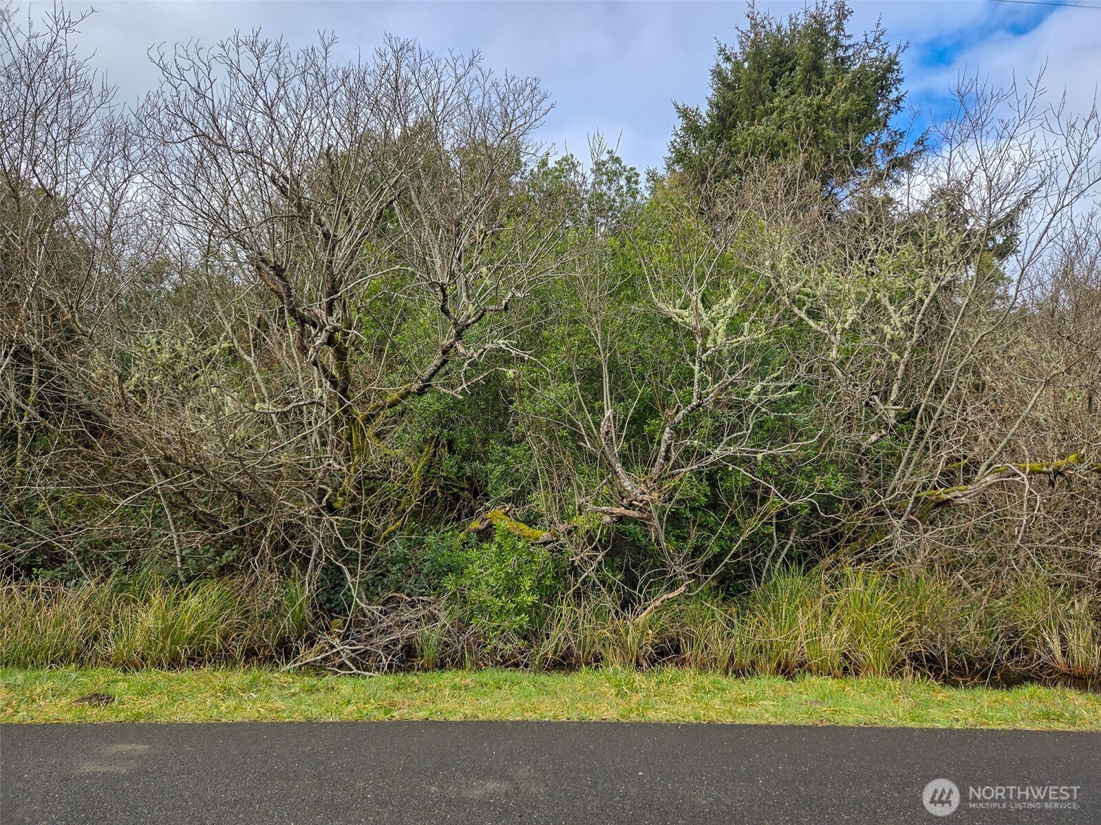 318 N Wynoochee Drive Property Photo 2