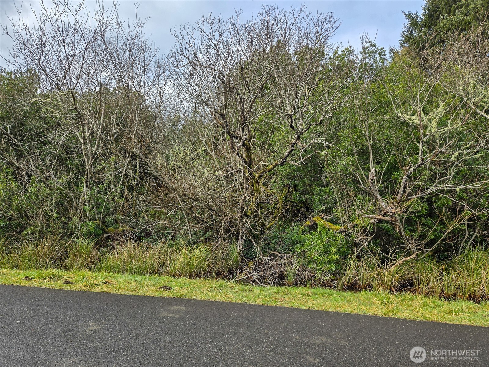 318 N Wynoochee Drive Property Photo 3