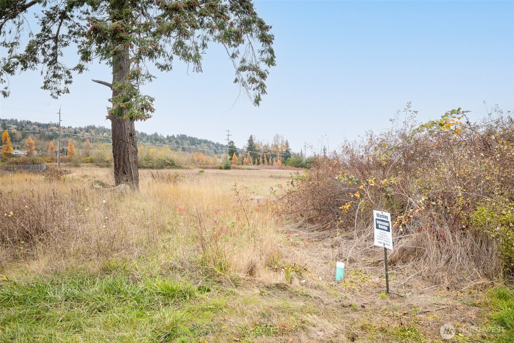 41 Lofgrin Road Property Photo 35