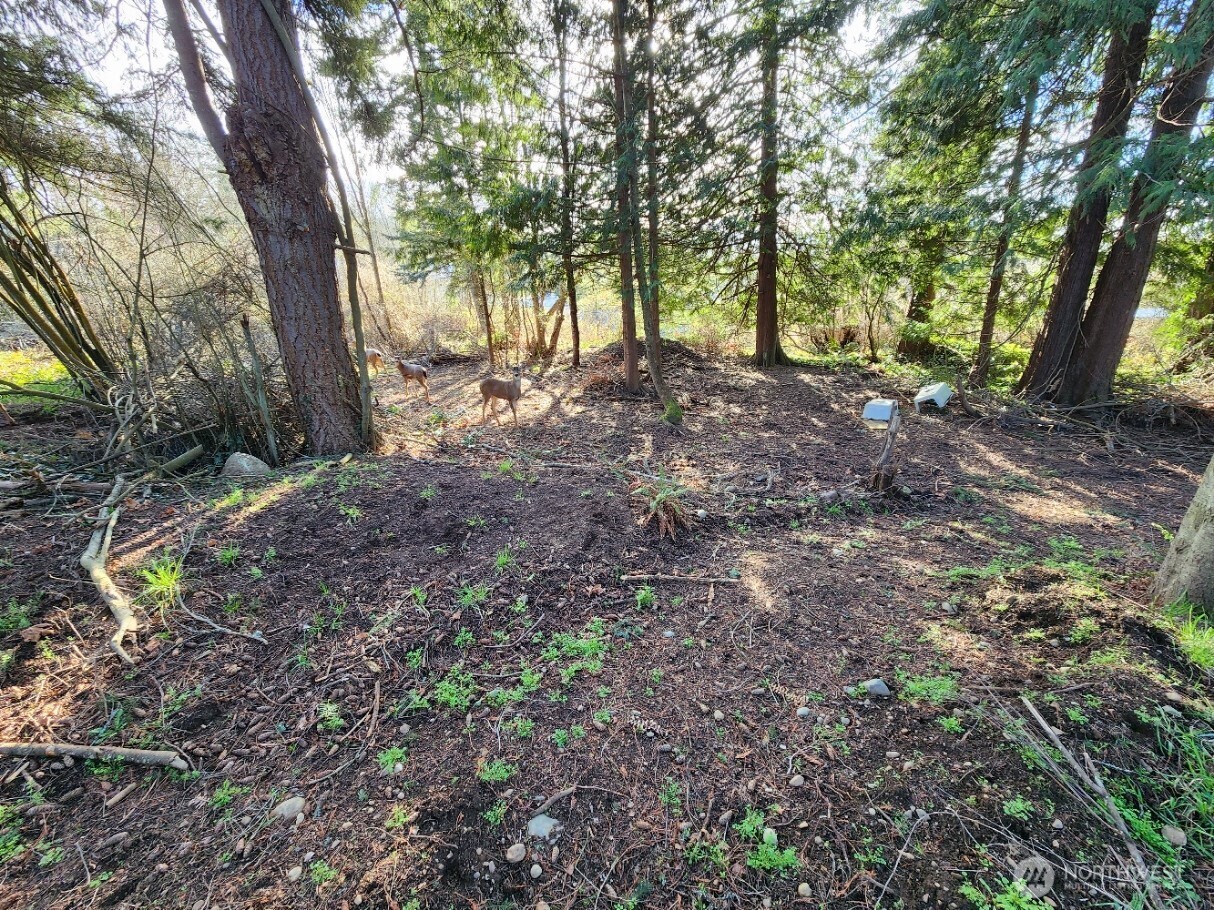 99999 Fairmount Avenue Property Photo 15