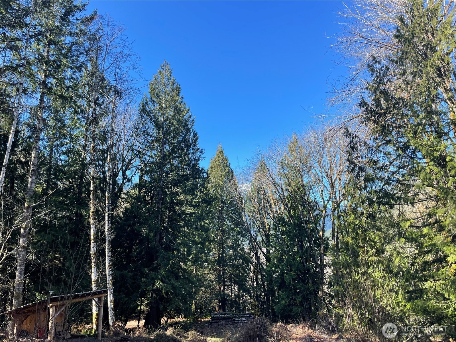 9999 Dosewallips Road Property Photo